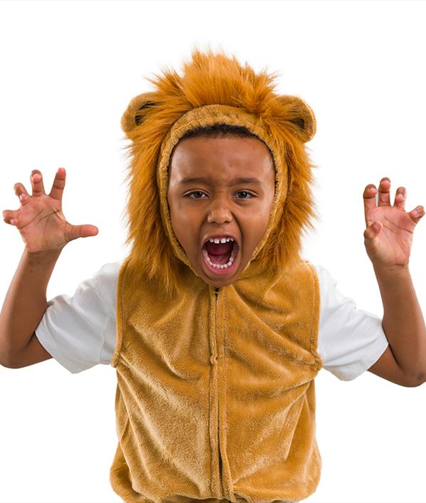 Kids Lion zip-up costume animal theme for 3/7 Years Main IMG