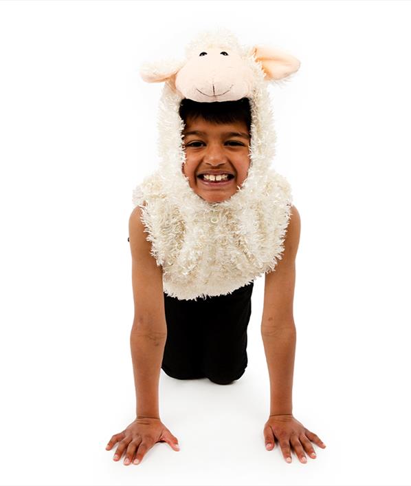 Sheep Zip-Up Costume 'Best Costume Baa None!'