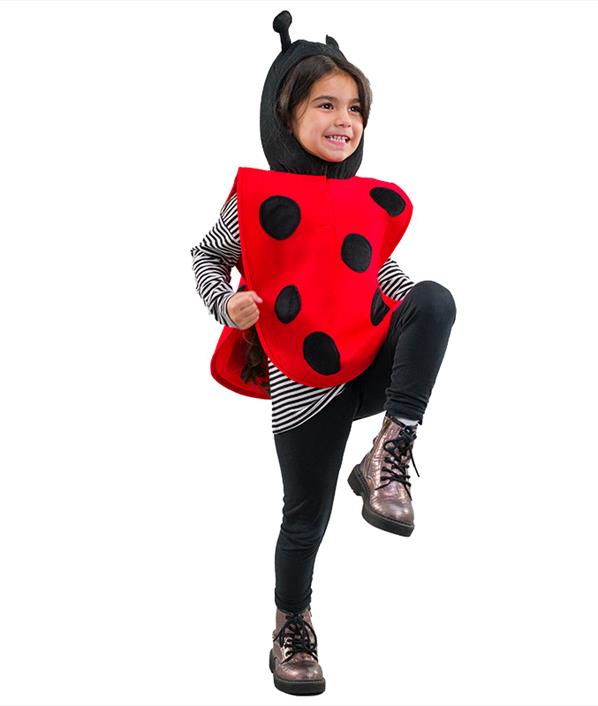 Ladybird Dress-up Costume 'Little Bug'