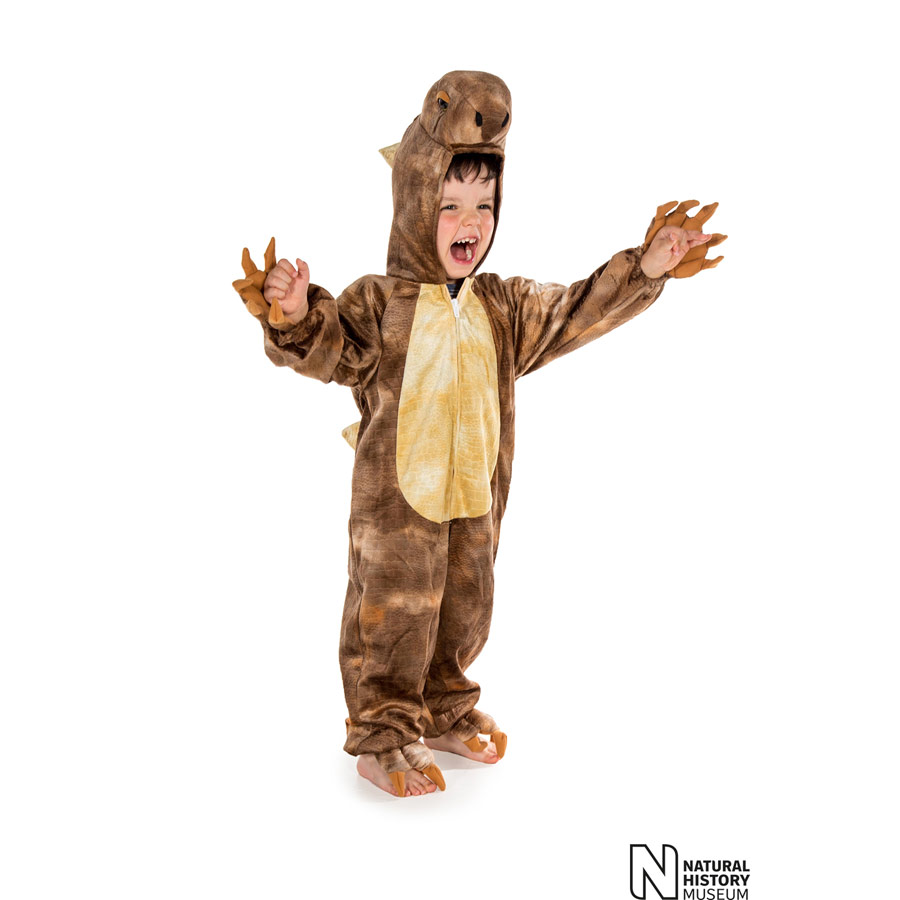 Kids Stegosaurus Onesie costume dress-up Small IMG