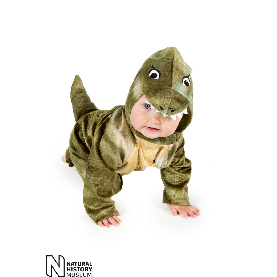 Baby Dinosaur onesie dress-up - Small IMG