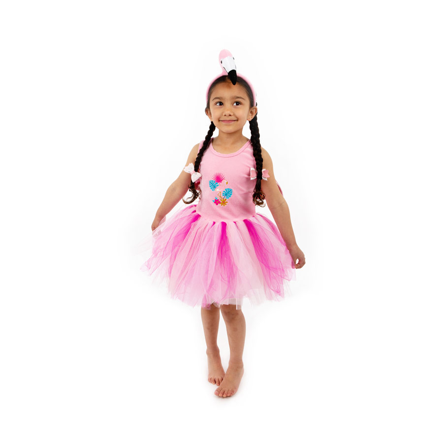 Flamingo Princess outfit years 5/6 Small IMG